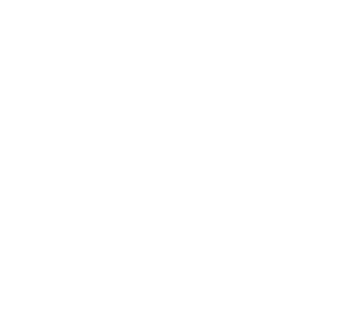 SHMUN VI Logo
